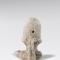 Isis (Co. 6071) Revers